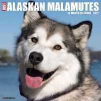 Alaskan Malamute Kalender 2022