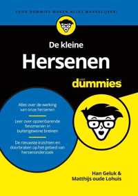 De kleine Hersenen voor Dummies