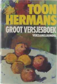 Groot versjesboek