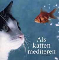 Als katten mediteren