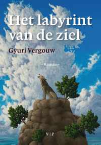 Het labyrint van de ziel - Gyuri Vergouw - Paperback (9789080531772)