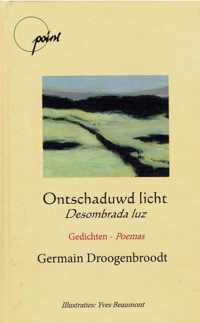 Ontschaduwd licht/ desombrada luz