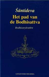 Het pad van de Bodhisattva