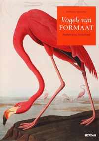 Vogels Van Formaat