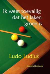 Ik weet toevallig dat het laken groen is - Ludo Ludius - Paperback (9789462600706)