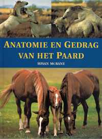 Anatomie En Gedrag Van Het Paard