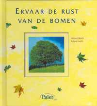 Ervaar De Rust Van De Bomen