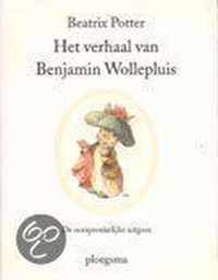 Verhaal Van Benjamin Wollepluis 4