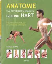 Anatomie van oefeningen voor een gezond hart