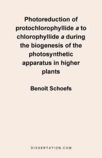 Photoreduction of Protochlorophyllide A to Chlorophyllide a During the Biogenesis of the Photosynthe