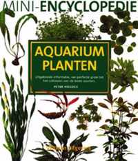 Mini-encyclopedie aquariumplanten