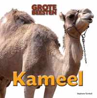 Kameel - Stephanie Turnbull - Hardcover (9789461752543)