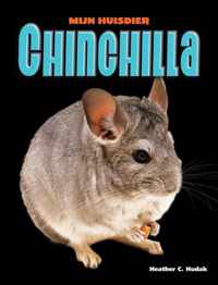 Mijn Huisdier  -   Chinchilla