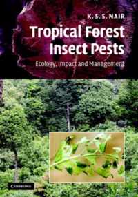 Tropical Forest Insect Pests