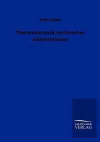 Thermodynamik technischer Gasreaktionen