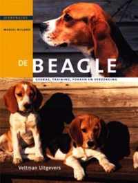 De Beagle