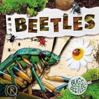 Beetles