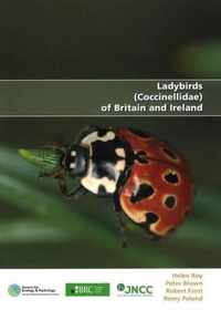 Ladybirds (Coccinellidae) of Britain and Ireland