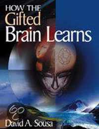 How the Gifted Brain Learns