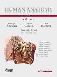 Human Anatomy - Multimedial Interactive Atlas
