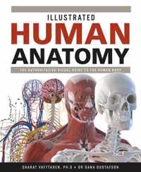Illustrated Human Anatomy