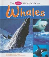 The Pebble First Guide to Whales