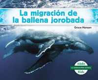 La Migracion De La Ballena Jorobada/ Humpback Whale Migration