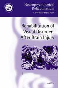 Rehabilitation of Visual Disorders after Brain Injury