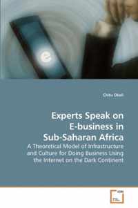 Experts Speak on E-business in Sub-Saharan Africa