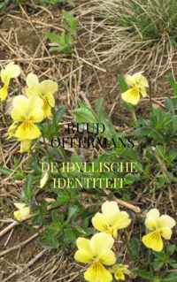 De idyllische identiteit - Ruud Offermans - Paperback (9789403622323)