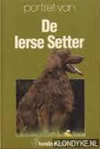 Ierse setter