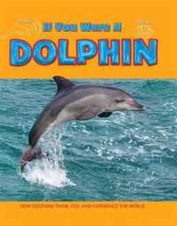 If You Were a Dolphin