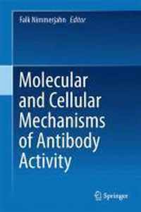 Molecular and Cellular Mechanisms of Antibody Activity