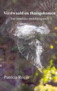 Verdwaald en thuisgekomen - Rogge Patricia - Paperback (9789403605319)