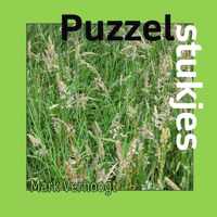 Puzzelstukjes - Mark Verhoogt - Paperback (9789464359190)