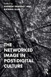 The Networked Image in Post-Digital Culture