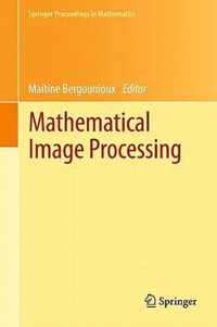 Mathematical Image Processing