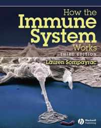 How The Immune System Works