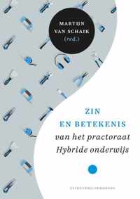 Zin en betekenis van het practoraat Hybride onderwijs - Martijn van Schaik - Paperback (9789490120436)