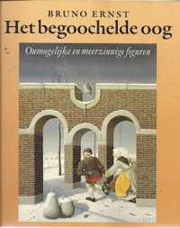 Het begoochelde oog