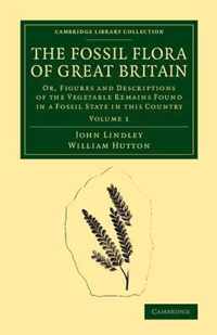 The The Fossil Flora of Great Britain 3 Volume Set The Fossil Flora of Great Britain