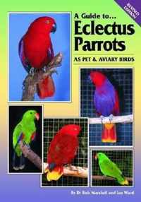 Eclectus Parrots as Pet and Aviary Birds