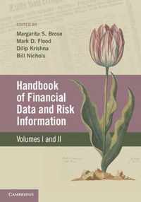 Handbook Of Financial Data And Risk Information