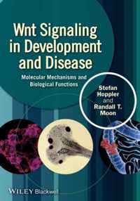 Wnt Signaling In Development And Disease