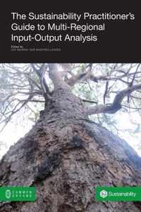 The Sustainability Practitioner's Guide to Multi-Regional Input-Output Analysis