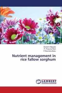 Nutrient management in rice fallow sorghum