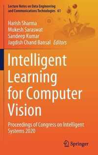 Intelligent Learning for Computer Vision