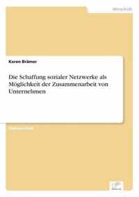 Die Schaffung sozialer Netzwerke als Moeglichkeit der Zusammenarbeit von Unternehmen