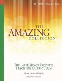 The Amazing Collection the Later Minor Prophets Teaching Curriculum