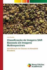 Classificacao de Imagens SAR Baseada em Imagens Multiespectrais